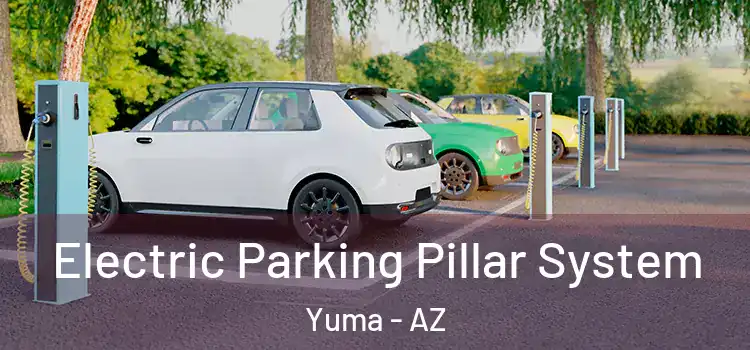 Electric Parking Pillar System Yuma - AZ